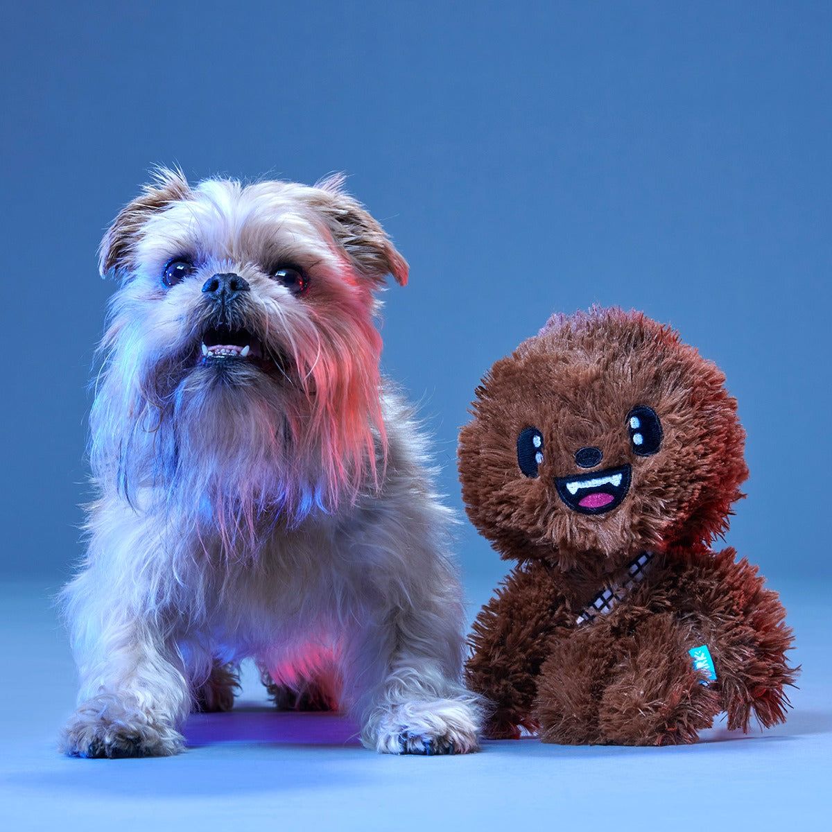 Star WarsTM BarkBox - One Month Gift Box