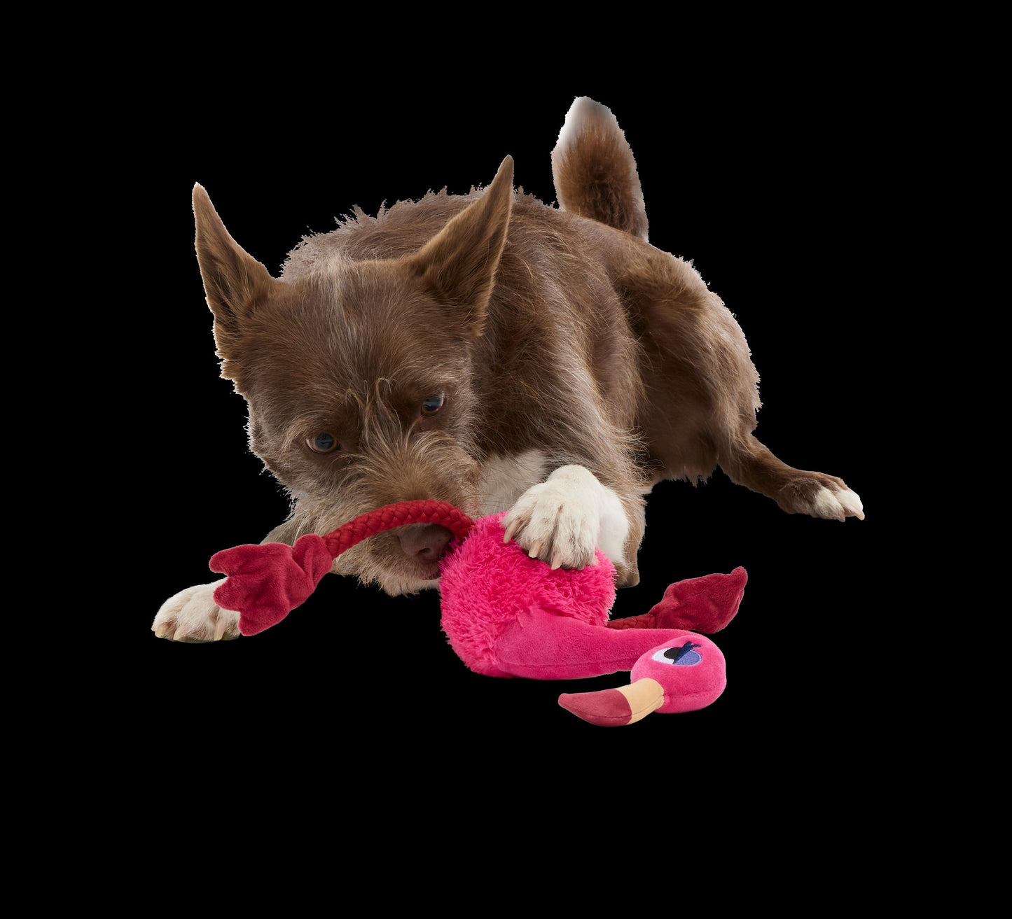 Fahari Flamingo Plush Tug Dog Toy