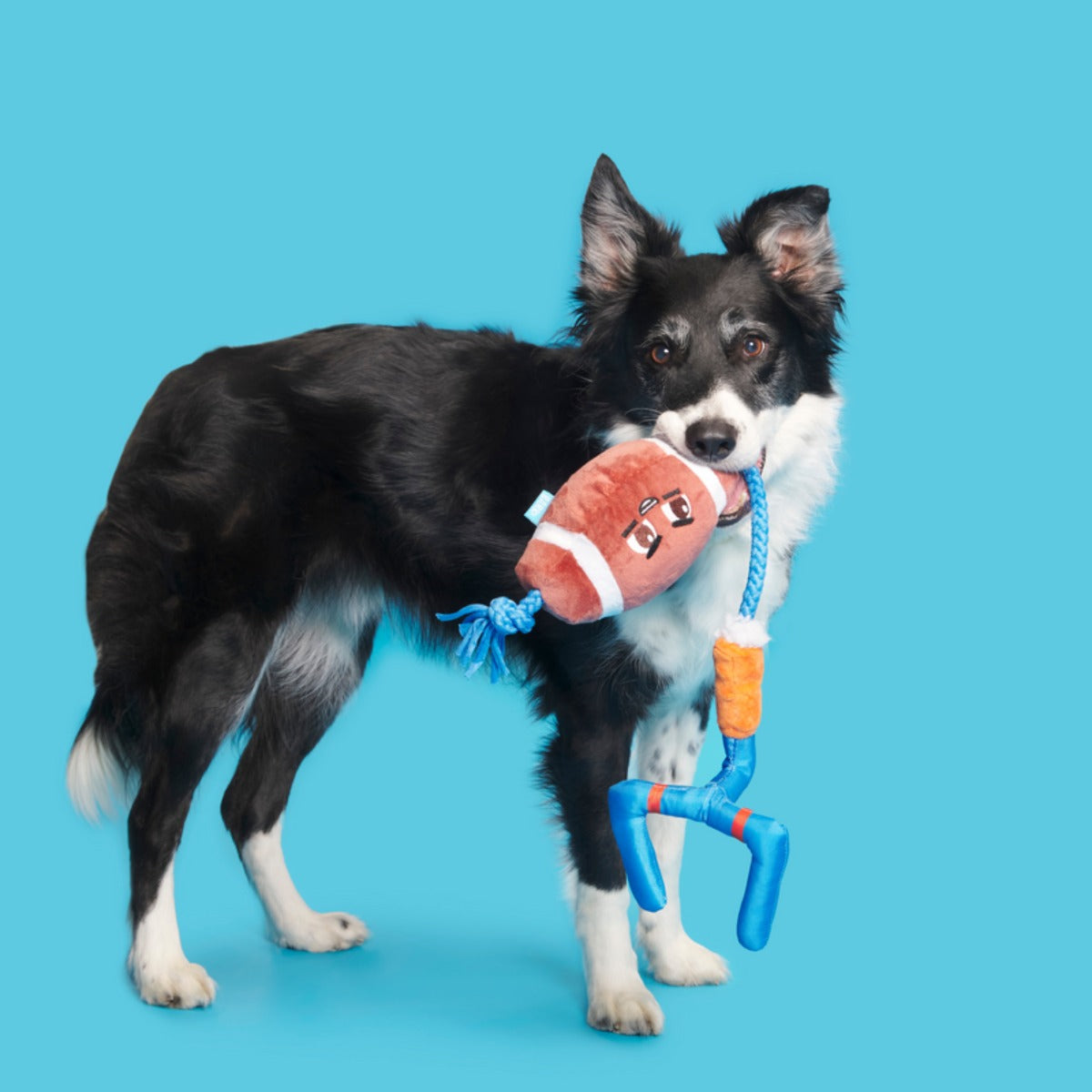 The Whole Canine Yards Plush Tug Dog Toy
