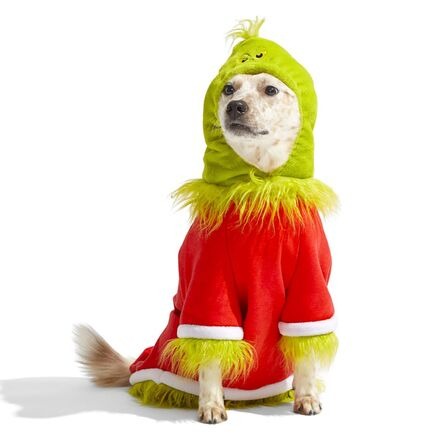 Grouchy Slouchy Grinch Costume & Toy Bundle For Super Chewer