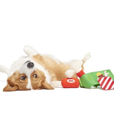 Do-It-Your-Elf Toolbelt Wearable Multipart Plush Tug Dog Toy