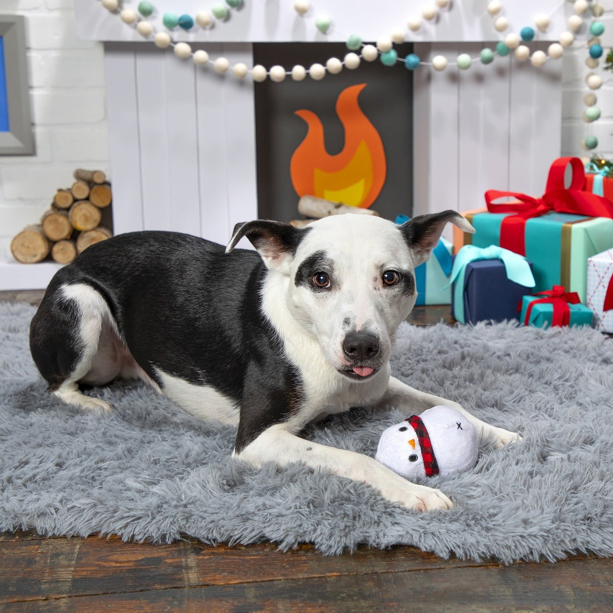 Frost Boss Durable Super Chewer 2-in-1 Rip and Reveal Dog Toy