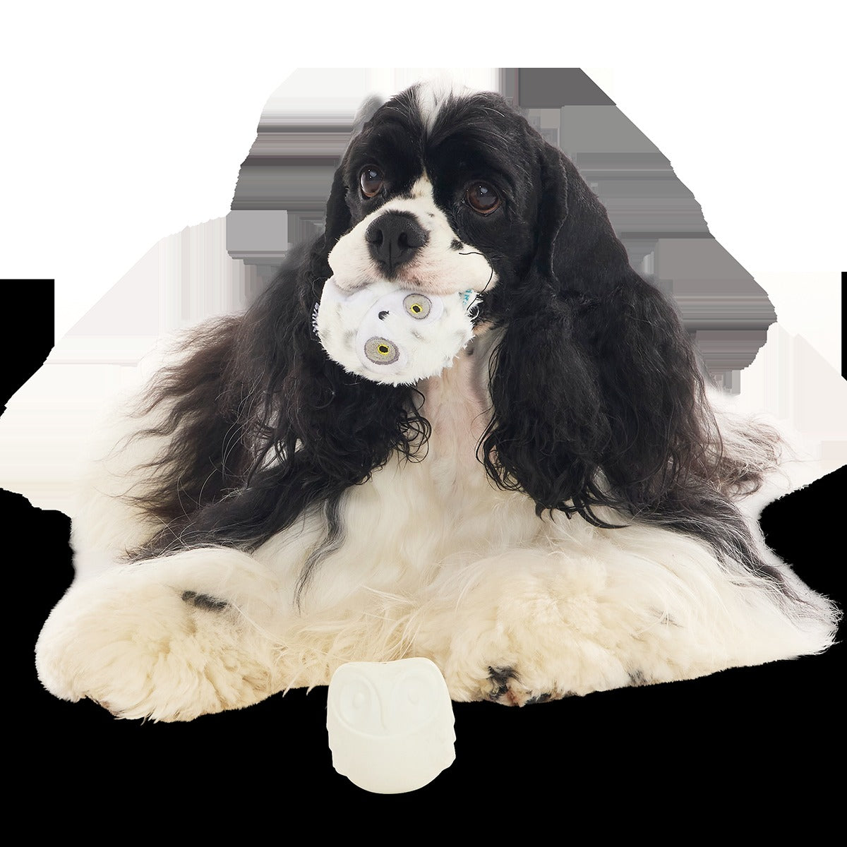 HedwigTM the Owl Super Chewer Durable 2-in-1 + Fetch Dog Toy
