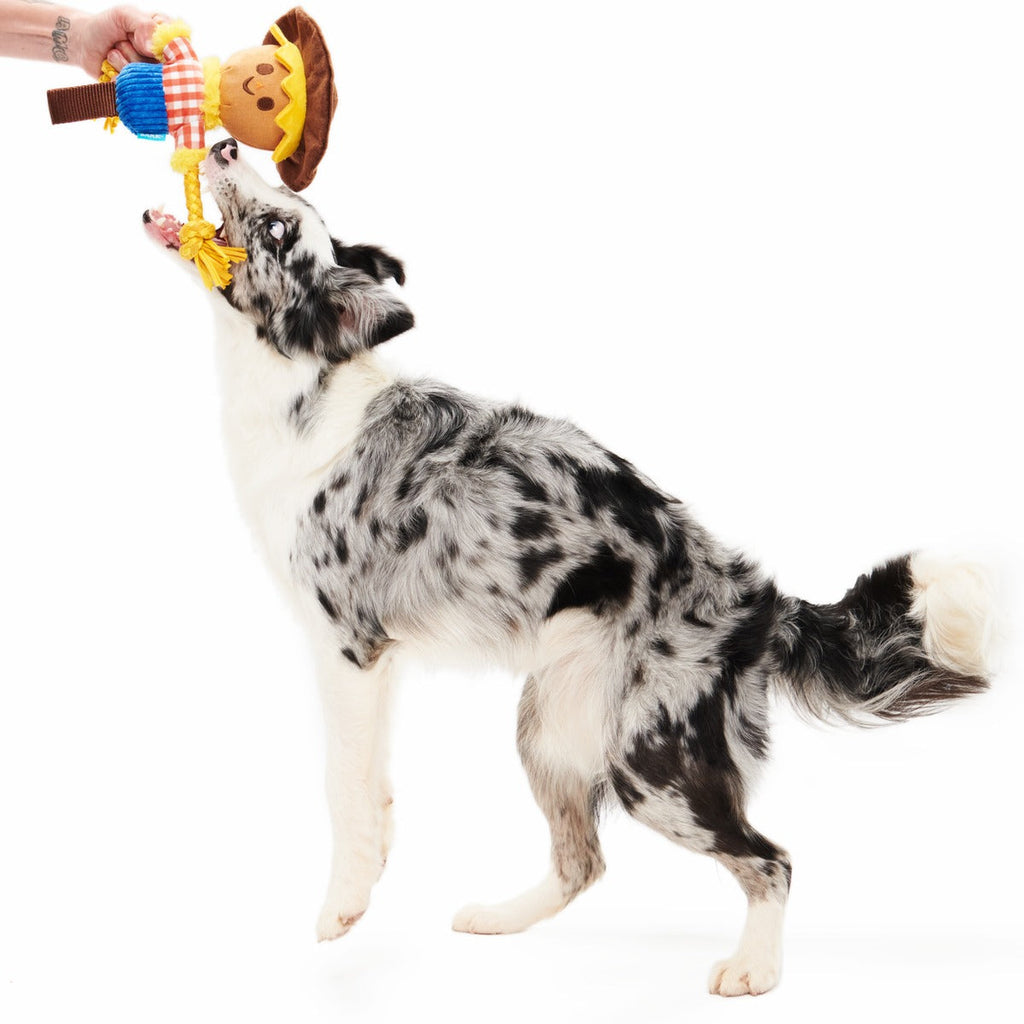 Not Scary Harry Plush Tug Dog Toy