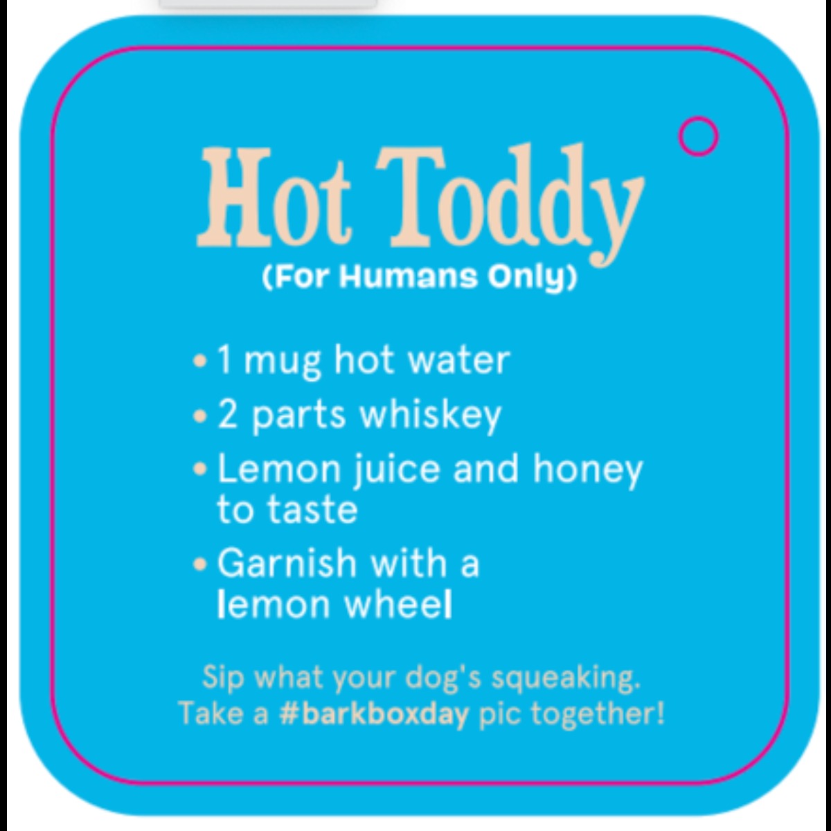 Dog Toddy