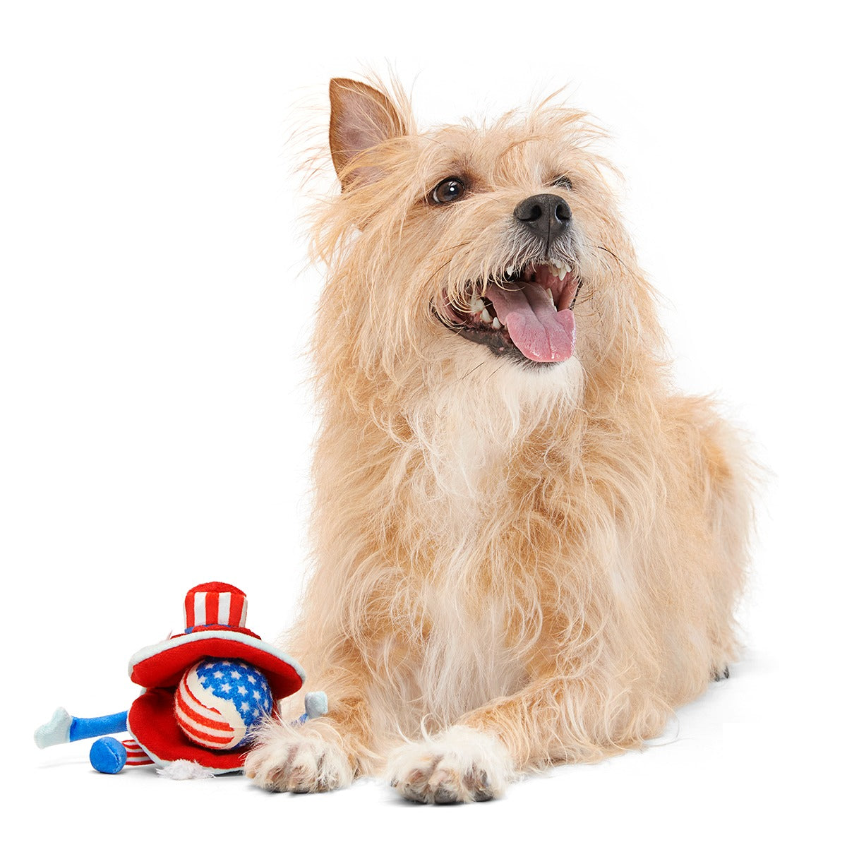 Uncle Clam Plush Multi-Part + Fetch Dog Toy