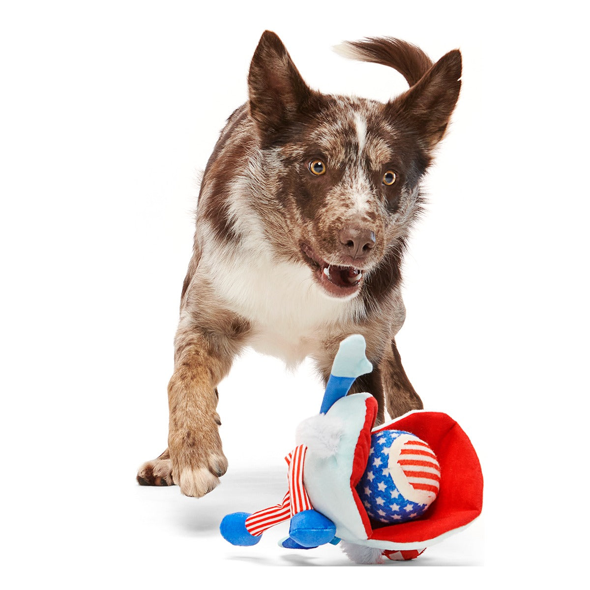 Uncle Clam Plush Multi-Part + Fetch Dog Toy