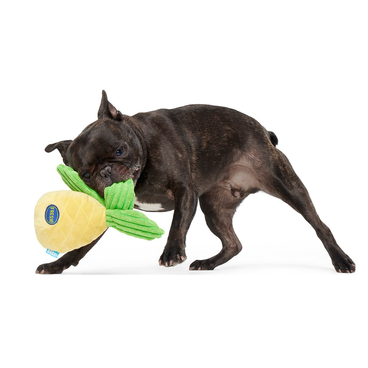 Spiky Pineyapple Plush Tug Dog Toy
