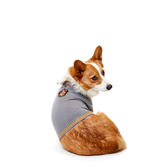 HARRY POTTERTM House Dog Sweater