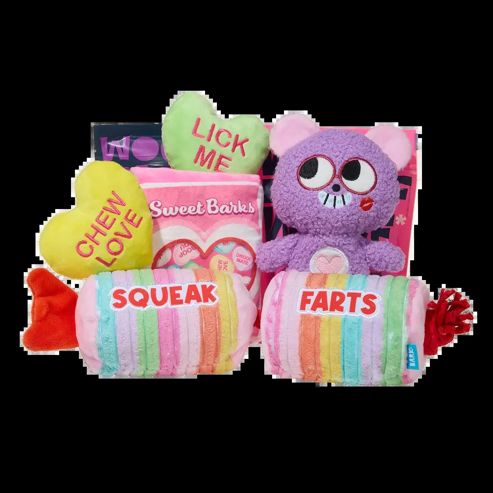 BARK 12 Month Subscription + Cardboard Box
