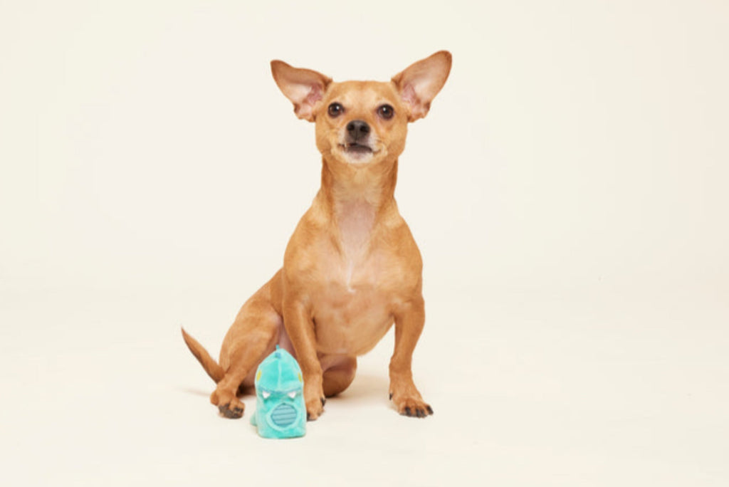 Chomposaurus Super Chewer Durable 2-in-1 Rip and Reveal Dog Toy
