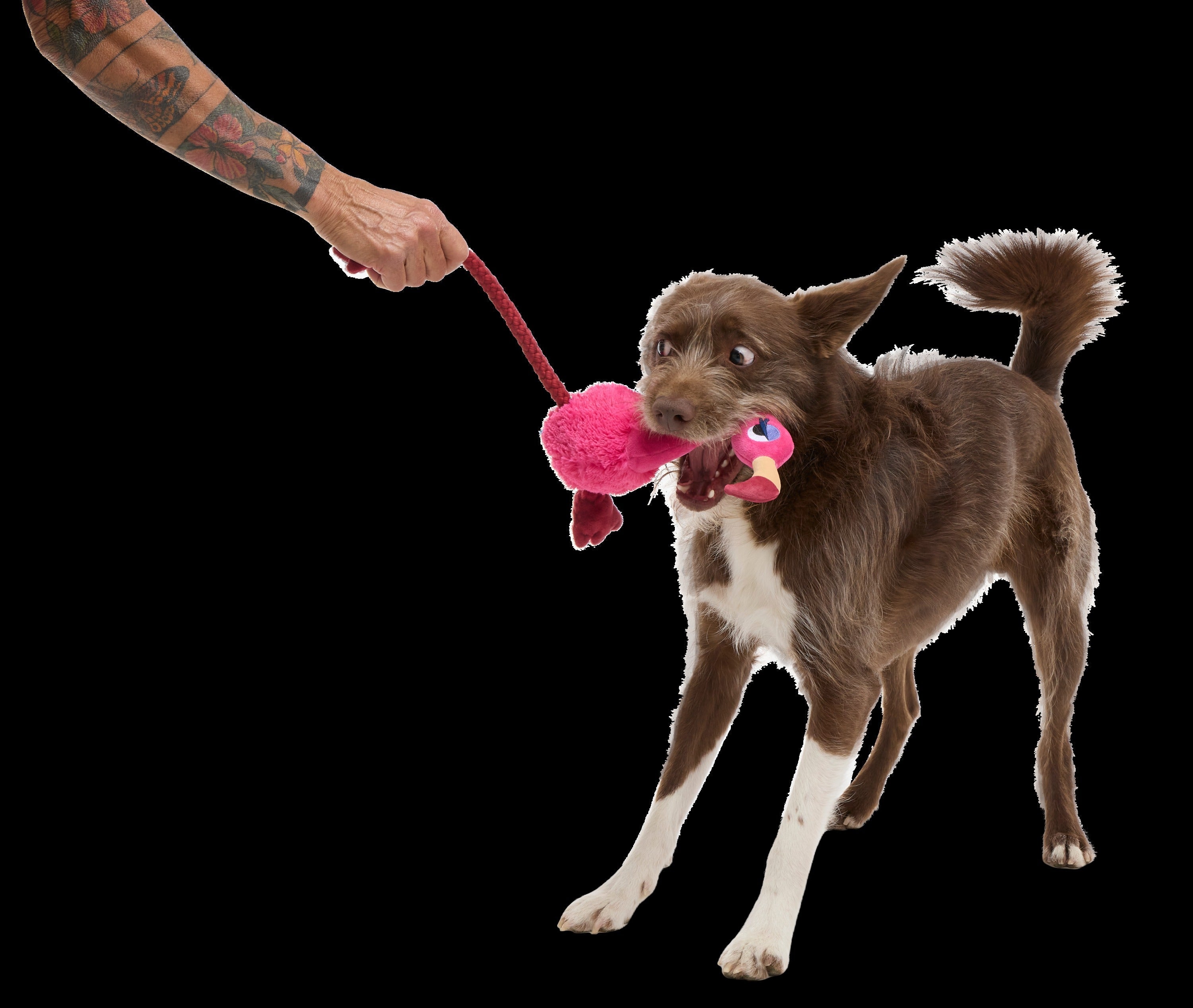 Fahari Flamingo Plush Tug Dog Toy