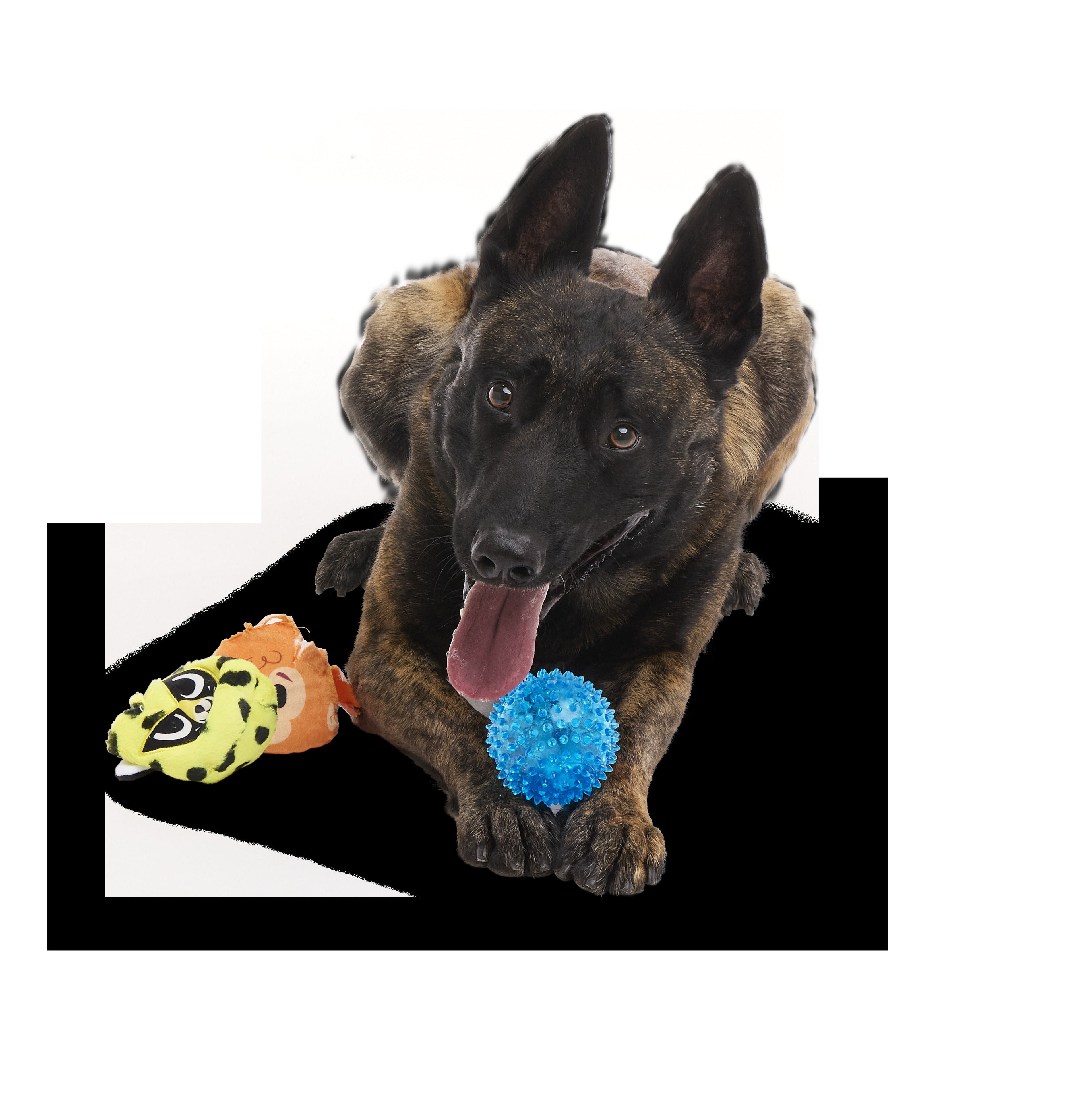 Duma Njaa Plush 2-in-1 Rip and Reveal + Fetch + Multi-Part Dog Toy