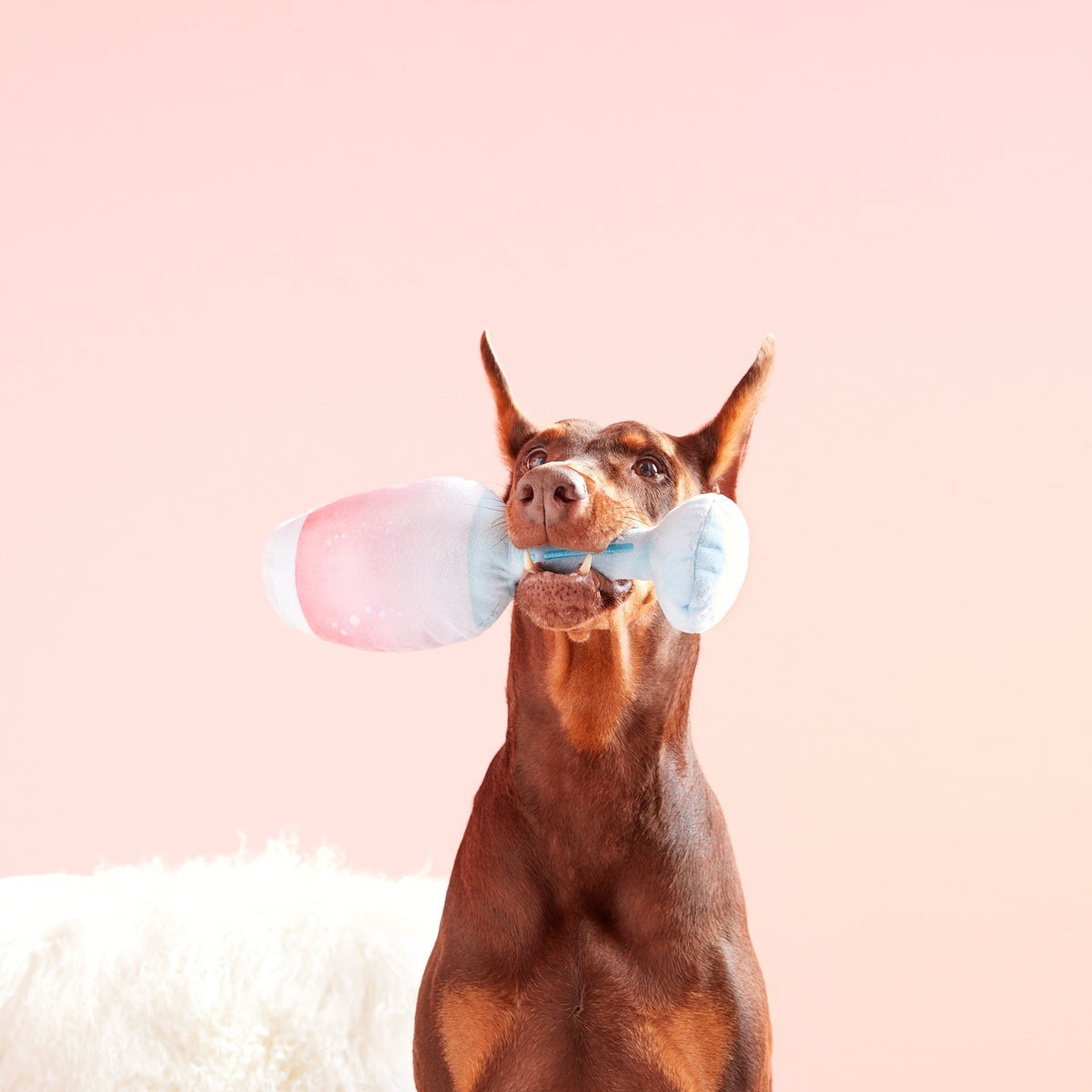 Pink Chompagne Plush Tug Dog Toy