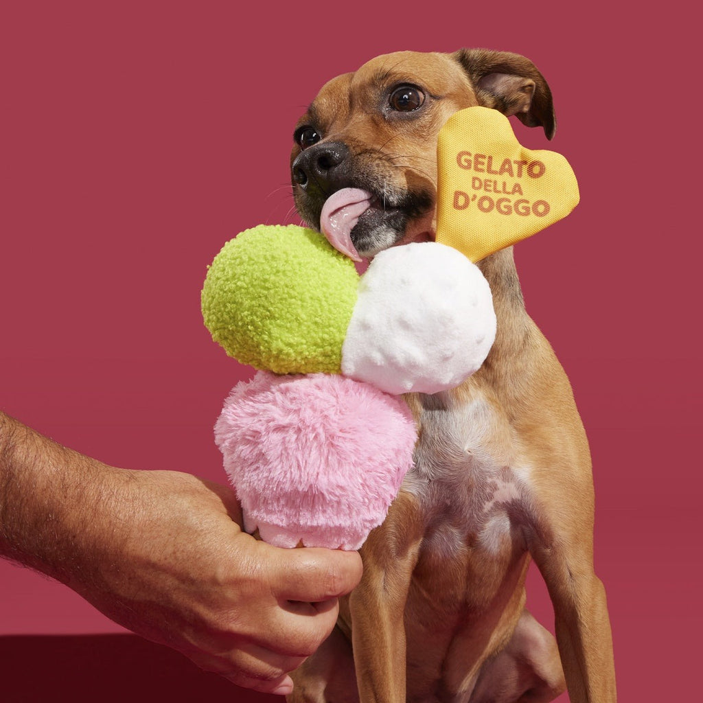 D'oggo Gelato Plush Tug Dog Toy