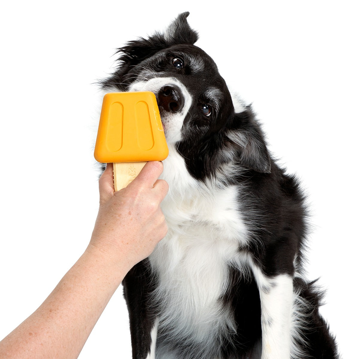 Make n' Munch Pupsicle Kit Super Chewer Durable Multi-Part Dog Toy