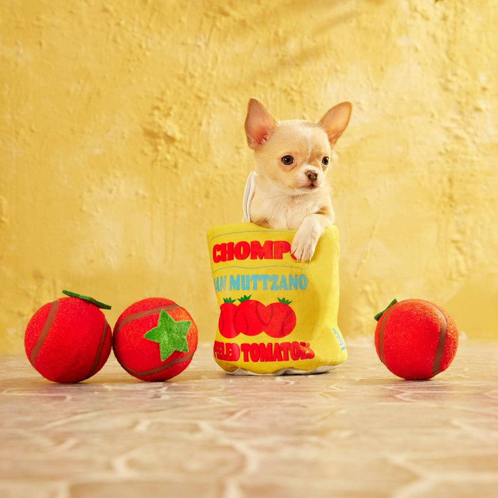 San Muttzano Tomatoes Plush Multi-Part Enrichment + Fetch Dog Toy
