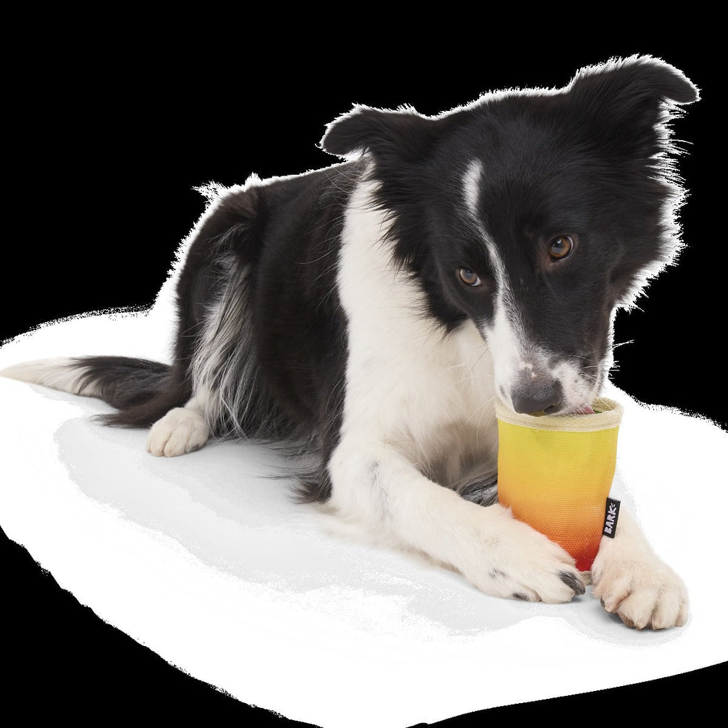 Mai Toy Super Chewer Durable 2-in-1 + Enrichment Dog Toy