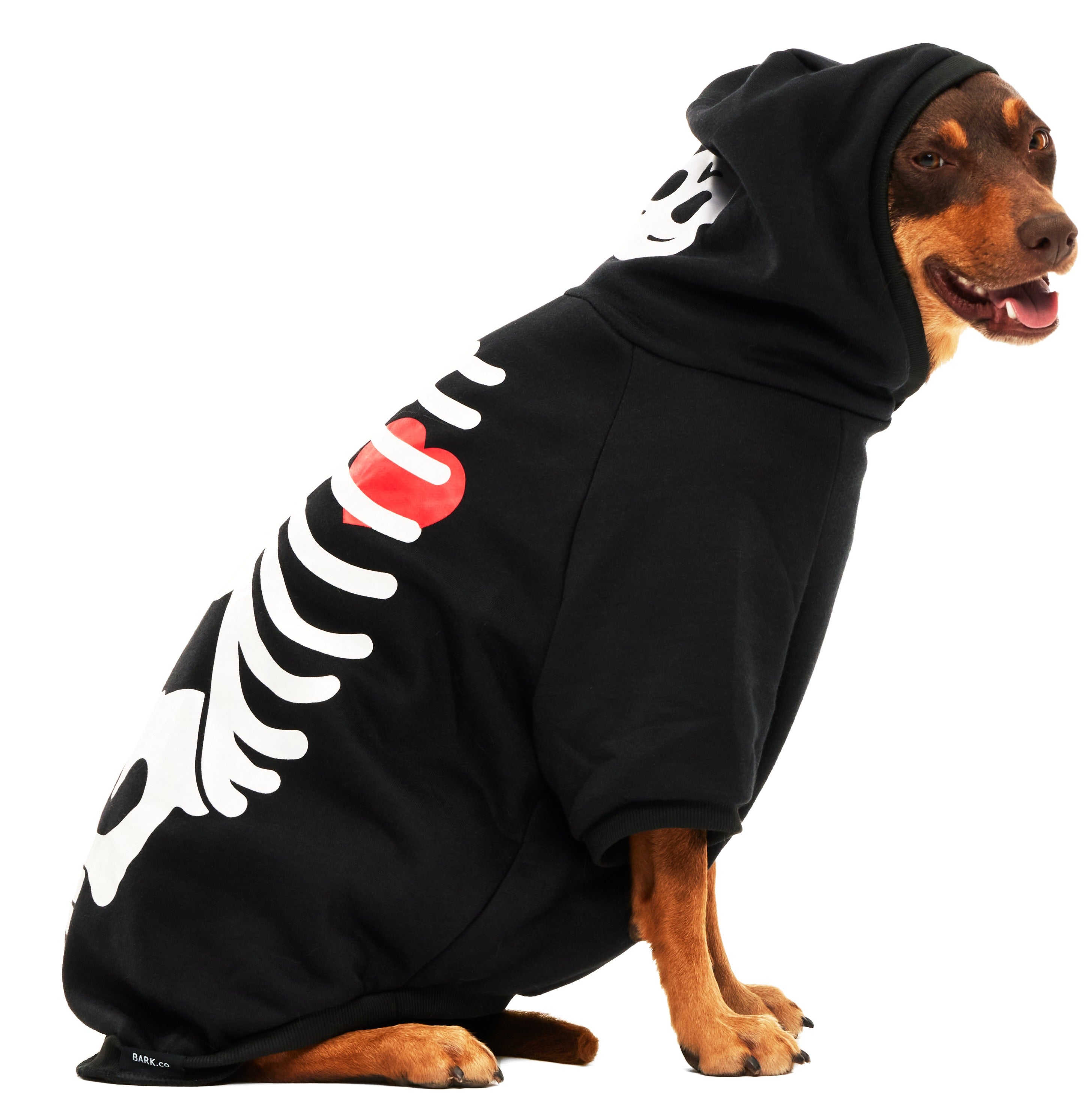 Skeleton Hoodie