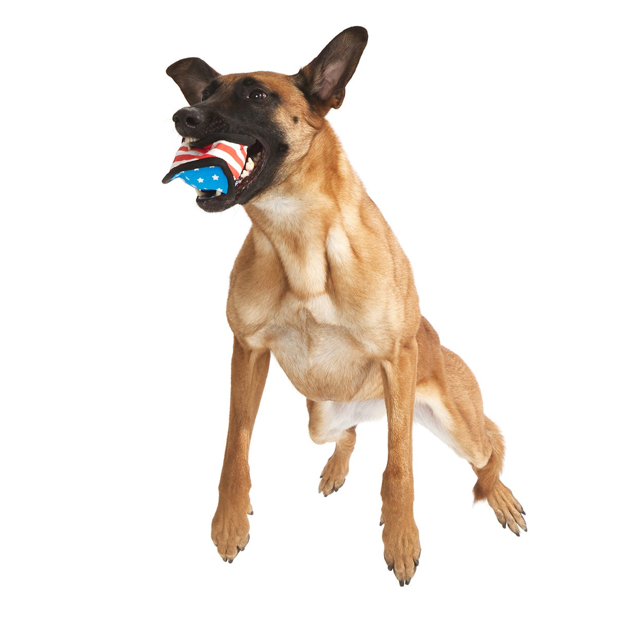 Flag Toofball Super Chewer Durable 2-in-1 + Fetch Dog Toy