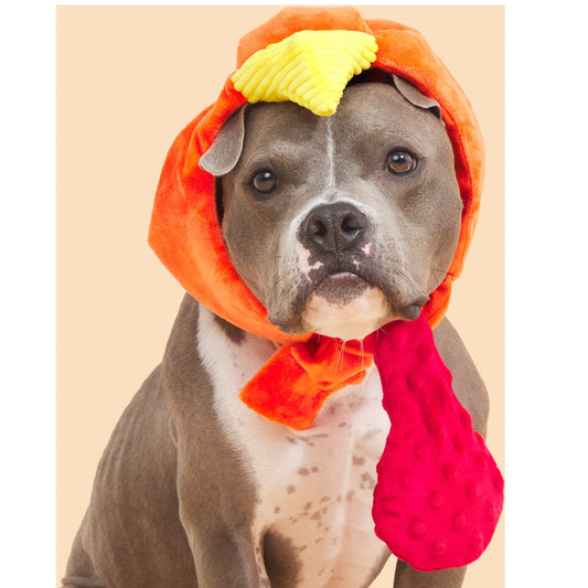Gobble Head Plush Wearable Tug Dog Toy