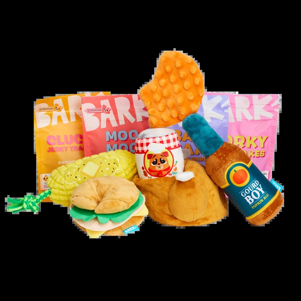 BARK 12 Month Subscription - FREE Extra Toys with Cardboard Box