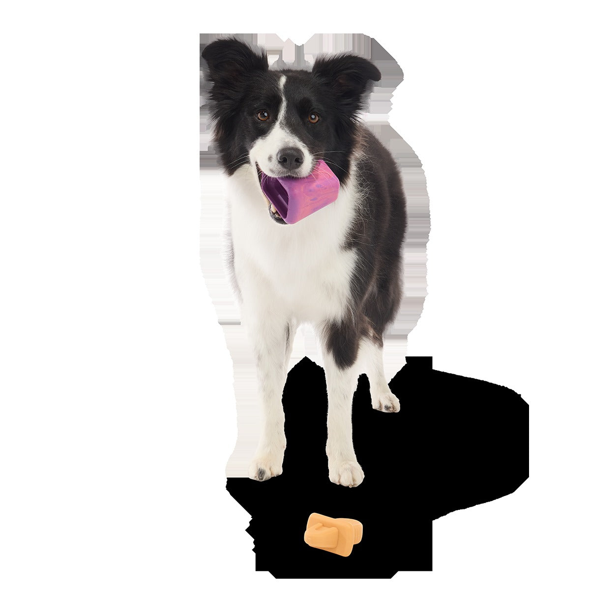 Chill N' Chomp Pupsicle Kit Super Chewer Durable Enrichment Dog Toy