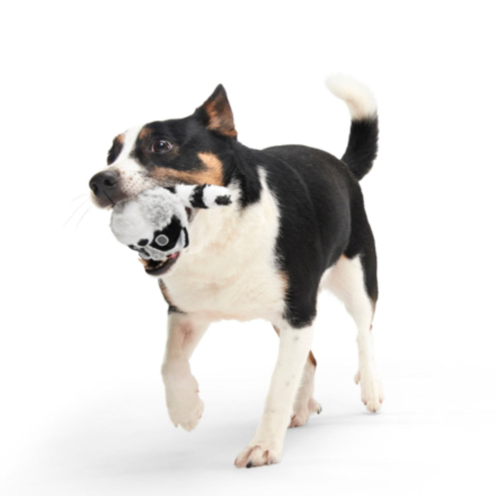 Thrash Panda Durable Super Chewer 2-in-1 Rip and Reveal Dog Toy