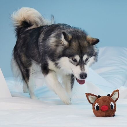 Reindeer GamesTM Rudolph® Durable Super Chewer Enrichment + 2-in-1 Rip and Reveal Dog Toy