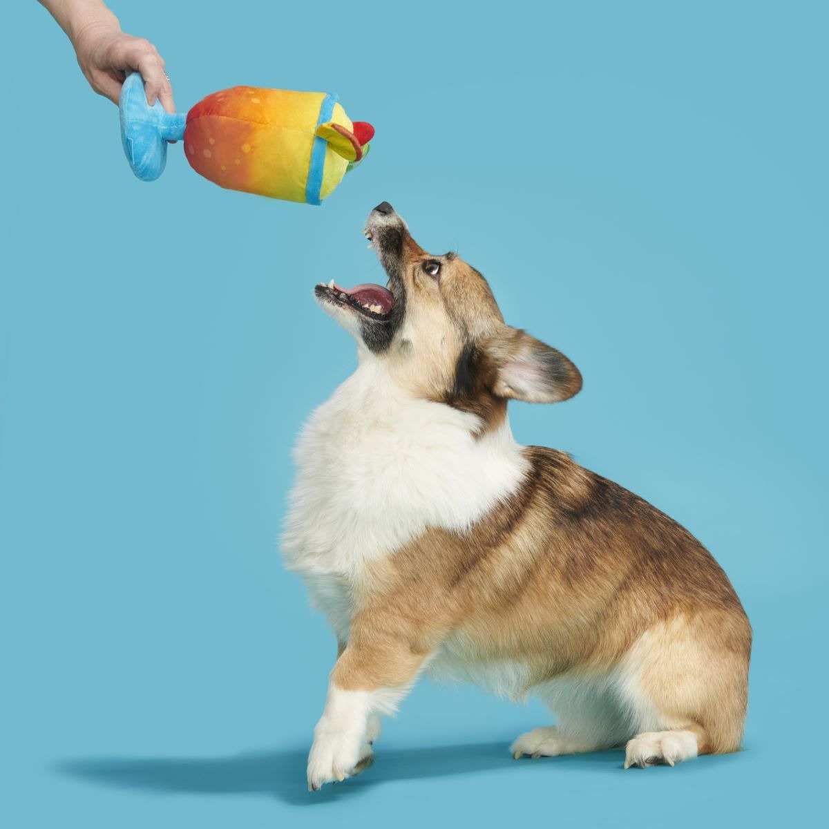 Mai Tail Plush Tug Dog Toy