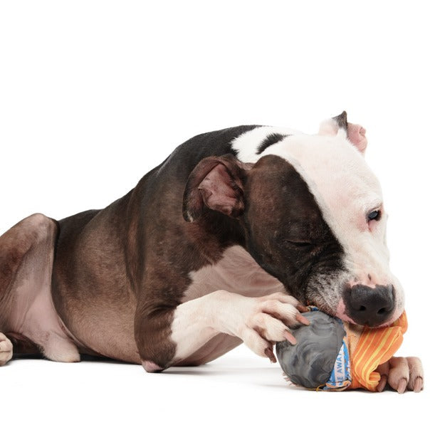 Flings Around Saturn Super Chewer Durable Fetch Dog Toy
