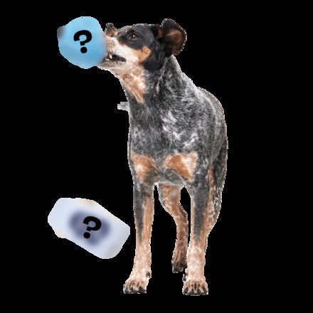Tana - Secret Monster Club