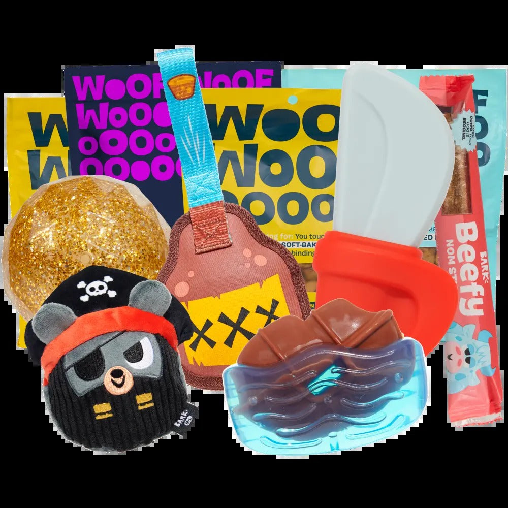 BARK 6 Month Subscription