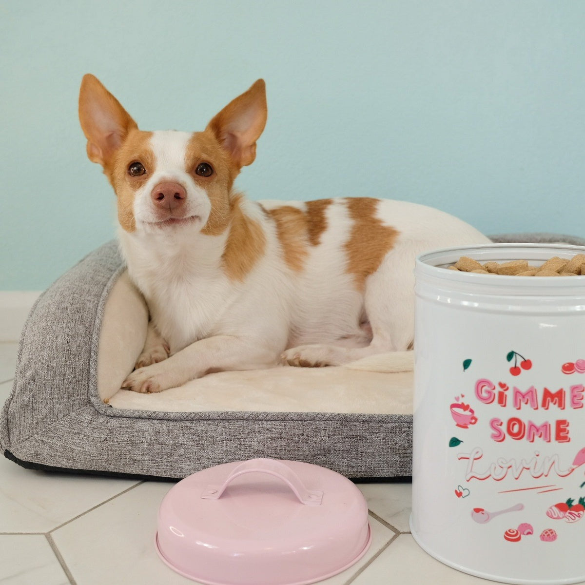 Valentine's Day Dog Treat Jar
