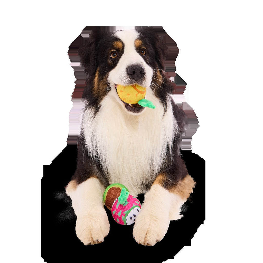 Tennis Ball Club, 3 Squeaky Monthly Tennis Ball Dog Toys