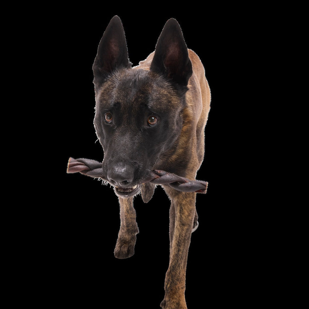 Beef Braided Collagen Dog Chews, 5 Ct