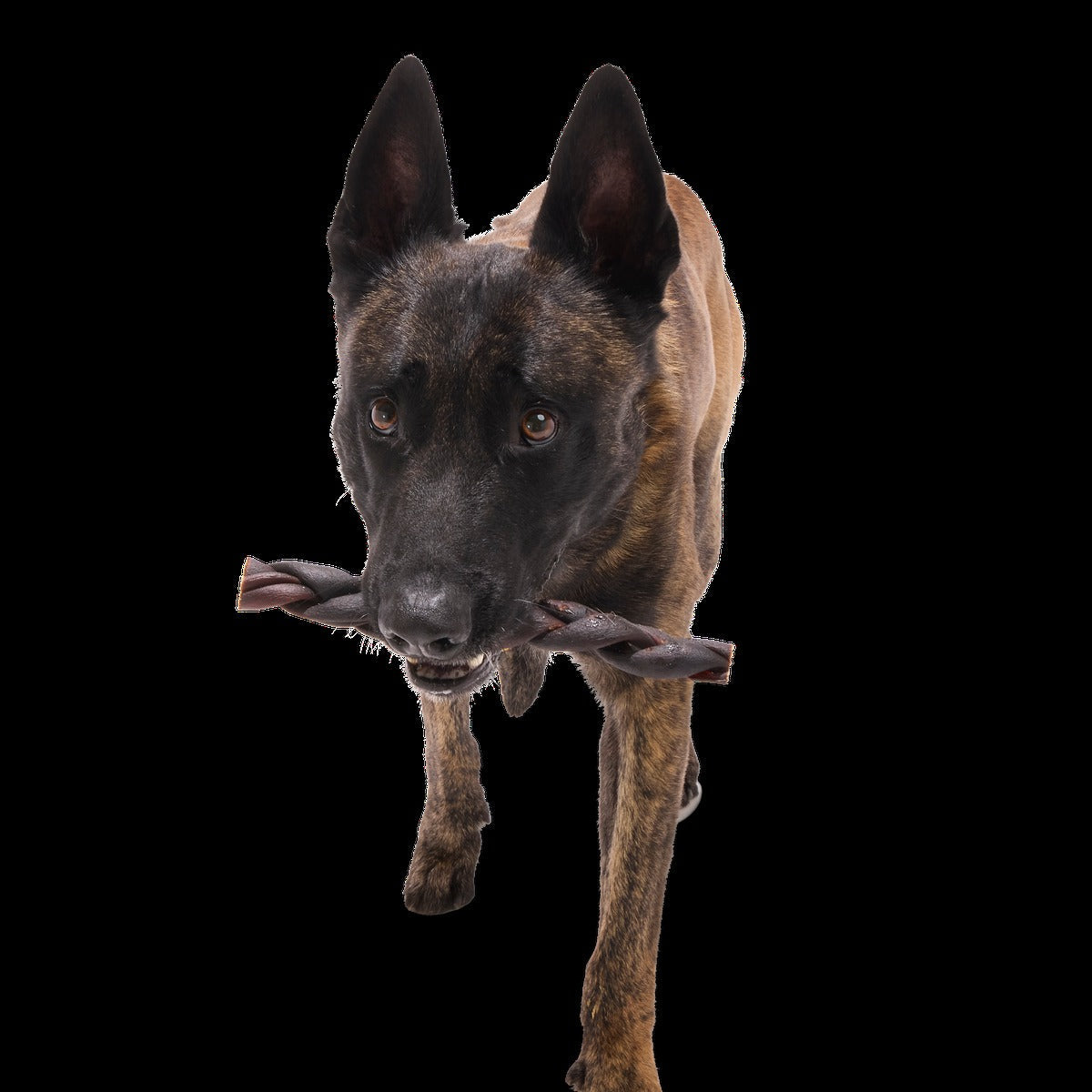 Beef Braided Collagen Dog Chews, 5 Ct