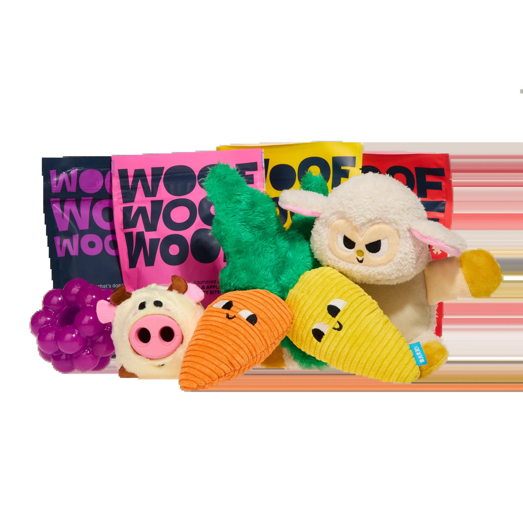 BARK 12 Month Subscription - FREE Extra Treats