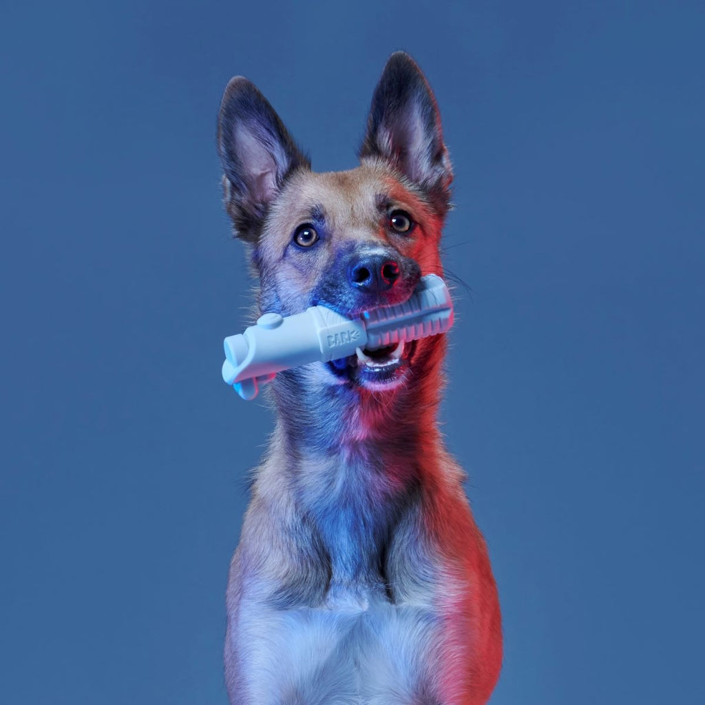 Light Side Star WarsTM Super Chewer Durable Bundle Fetch + Gnaw Dog Toy