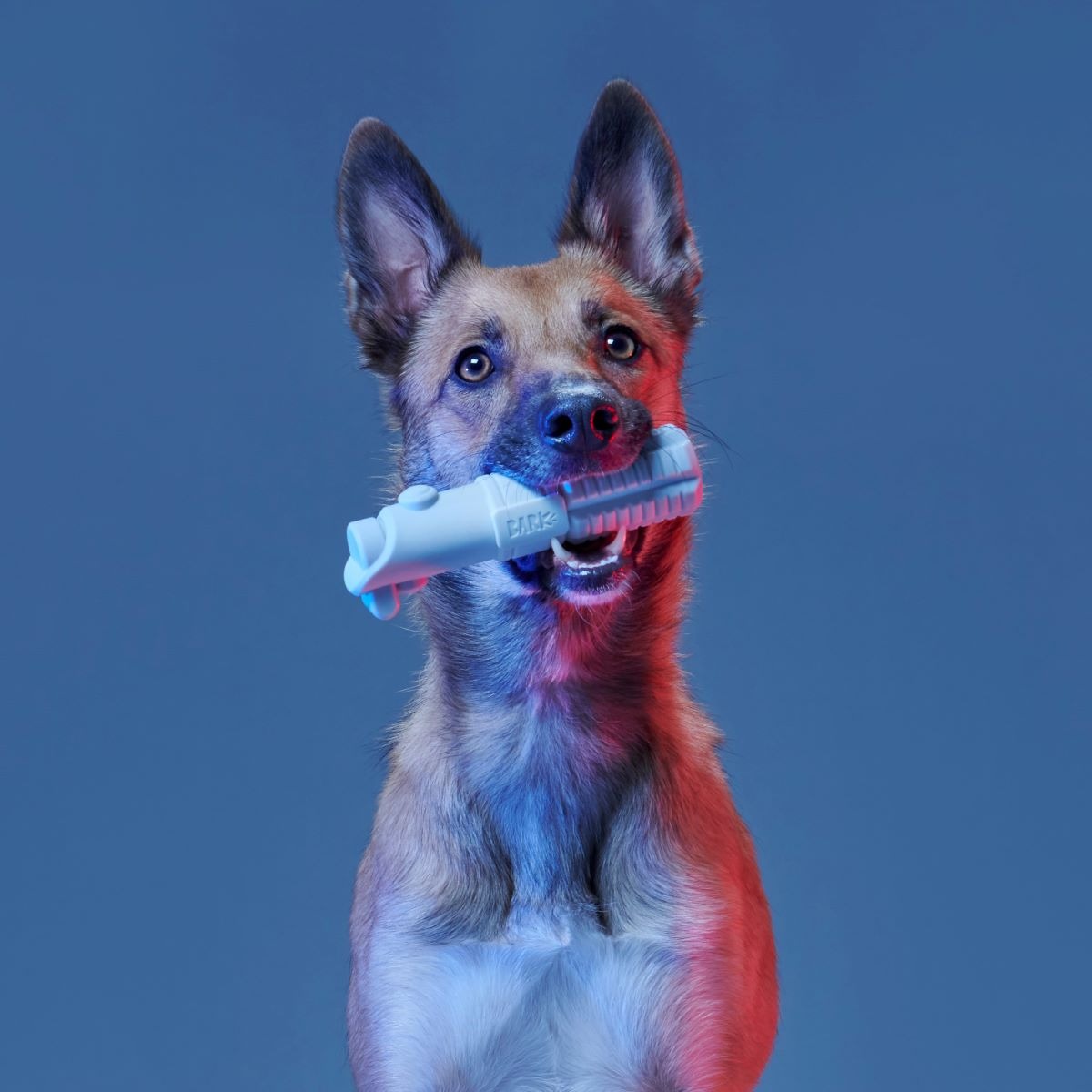 Light Side Star WarsTM Super Chewer Durable Bundle Fetch + Gnaw Dog Toy