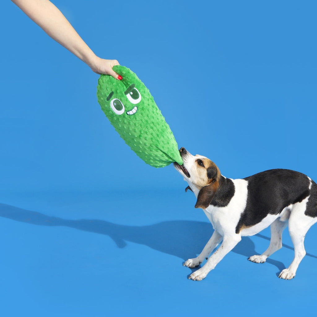 Big Dill Bill Plush Extra-Large + Tug Dog Toy
