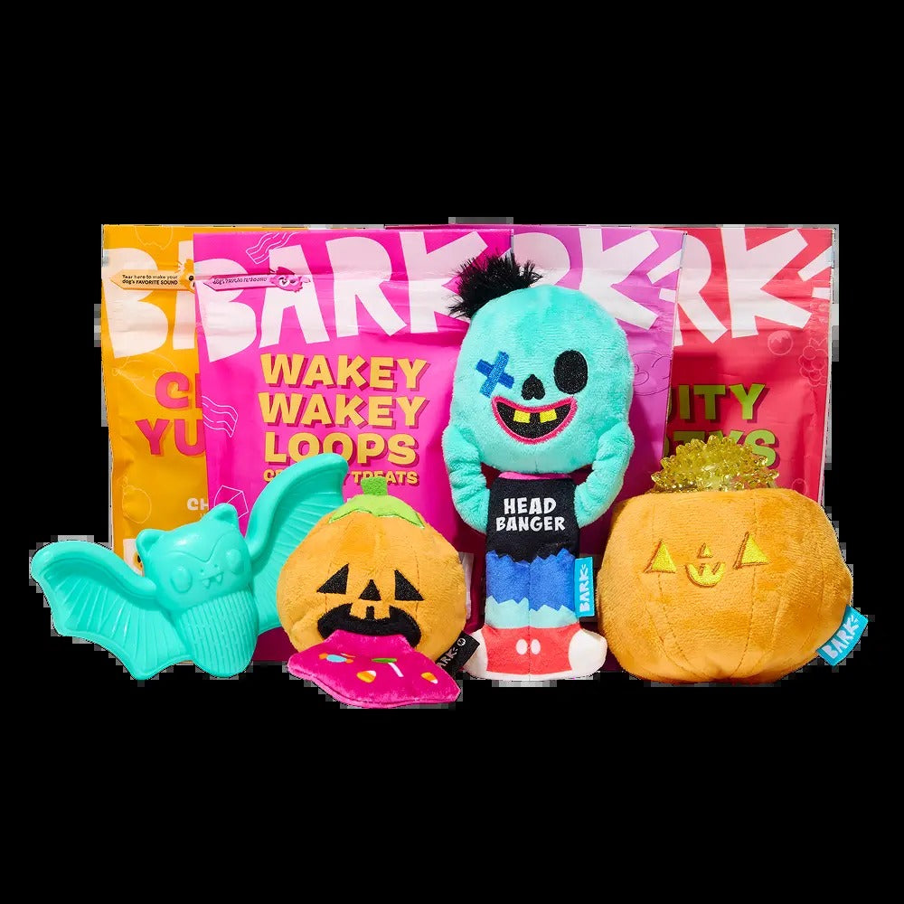 BARK Monthly Subscription + Cardboard Box
