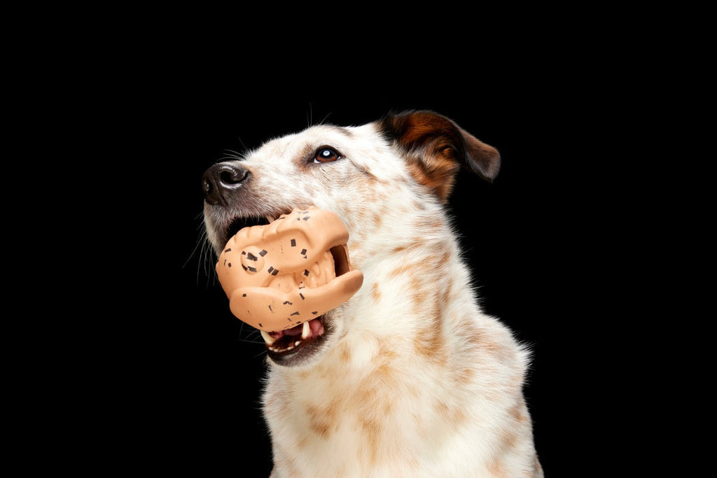 Feeding Time Durable Super Chewer Enrichment Dog Toy