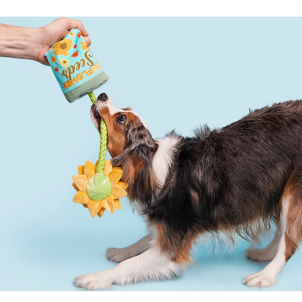 Funflower Seeds Plush Tug Dog Toy