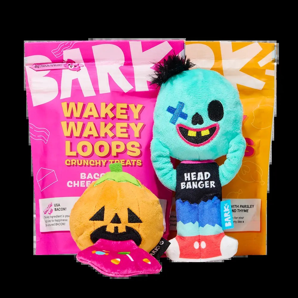 BARK Monthly Subscription + Cardboard Box