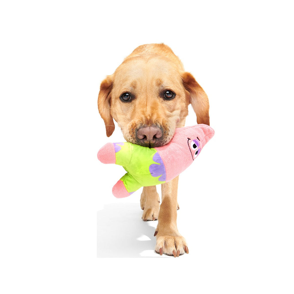 Patrick’s Squeakret Talent Plush 2-in-1 Dog Toy