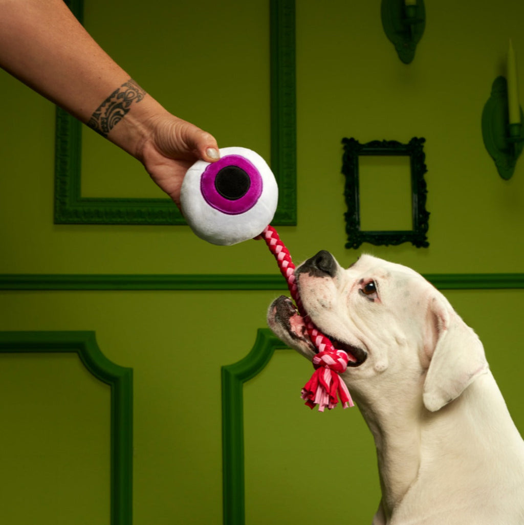 The Part-y Pack Plush Multi-Part + Tug Dog Toy