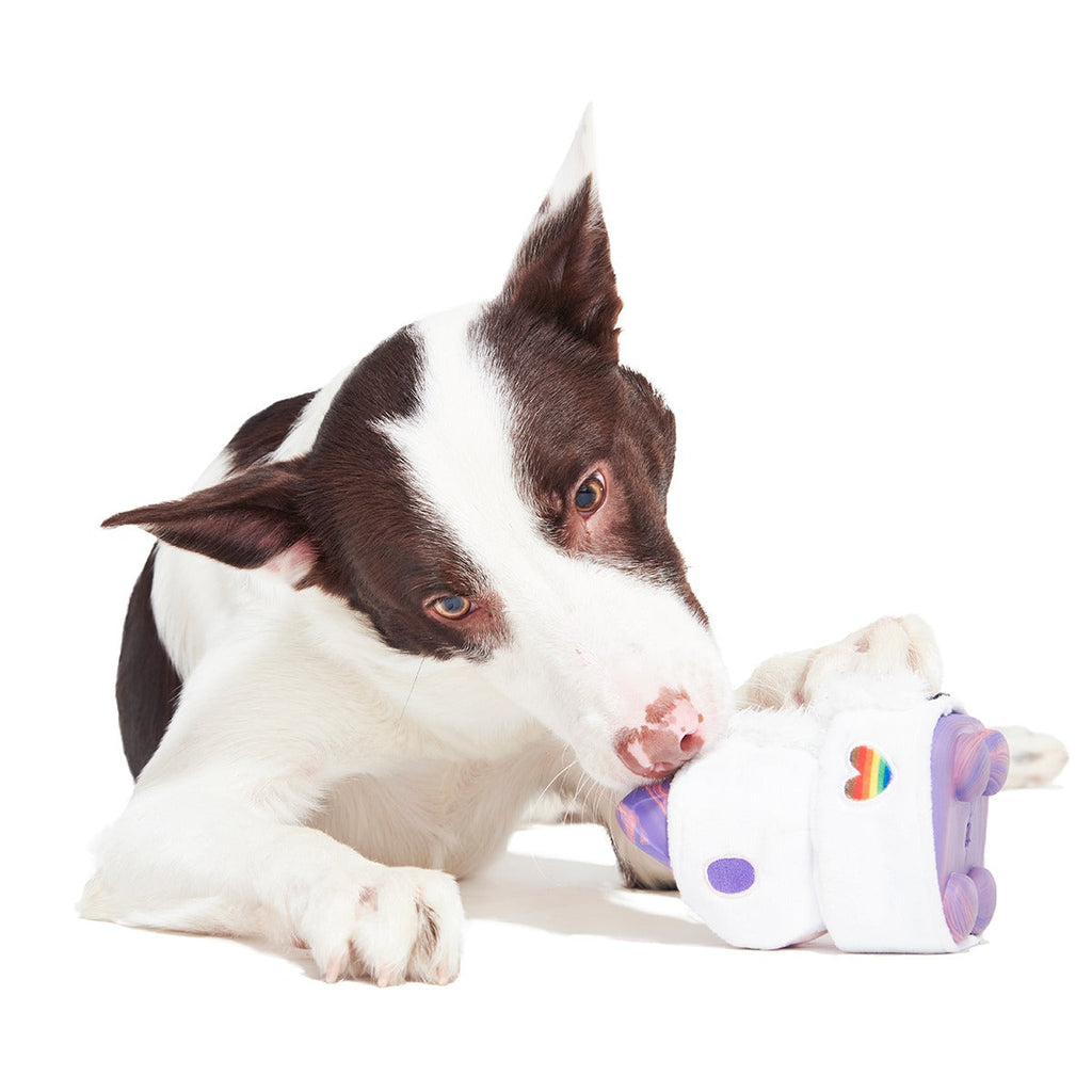 Disco Giddy Super Chewer Durable 2-in-1 Dog Toy