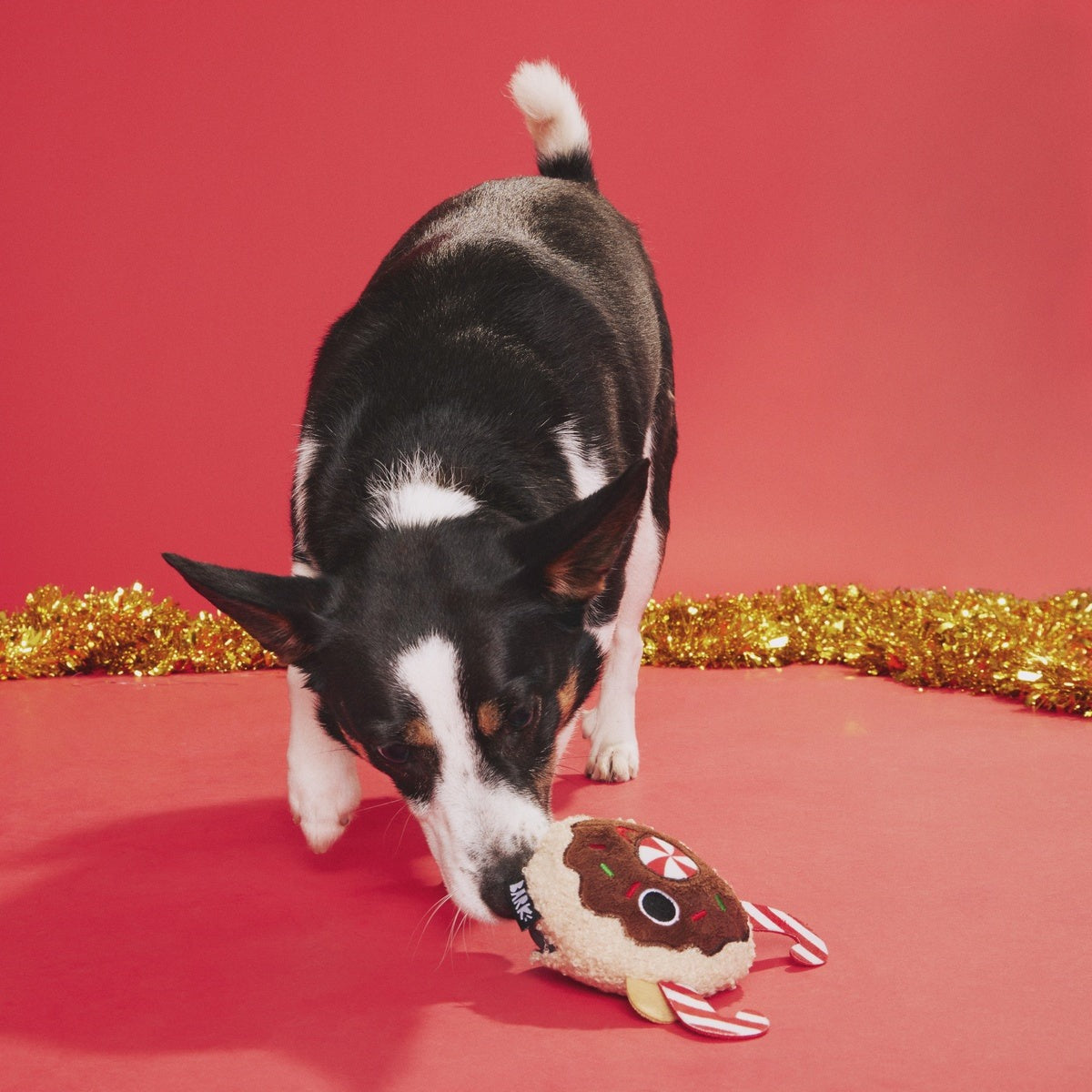 Gnasher The Puppermint Reindeer Durable Super Chewer 2-in-1 Rip and Reveal Dog Toy