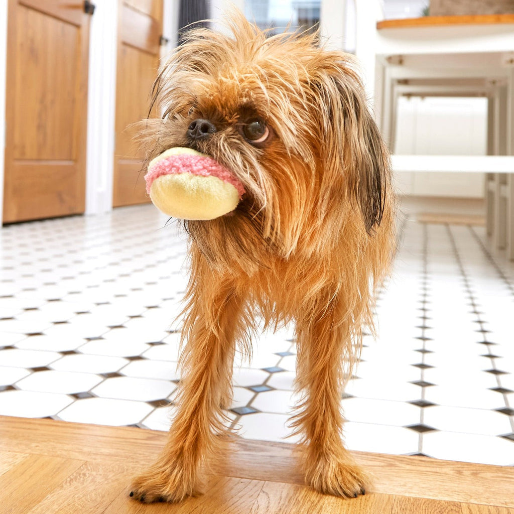Wee Wee Macaroon Plush Multi-Part + Enrichment Dog Toy